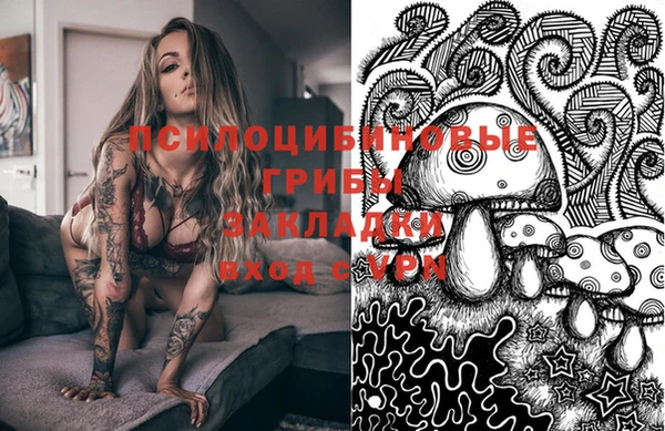 молекула духа Елизово