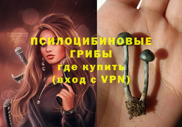 ALPHA-PVP Ельня