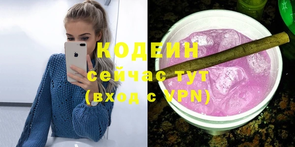 молекула духа Елизово